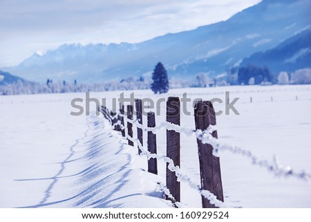 Wooden fence in winter fields