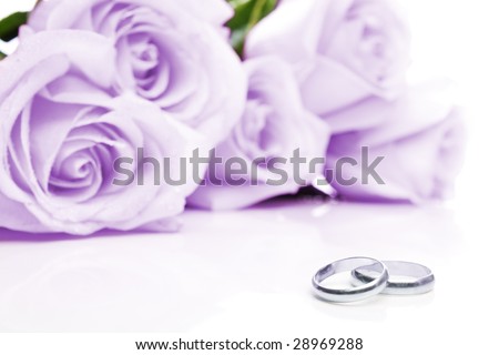 stock photo Two wedding rings made of white gold and purple roses in 