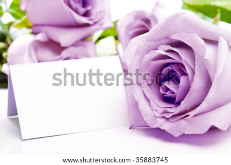 Invitation or visiting card with purple roses