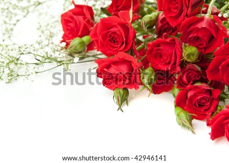 Red roses bouquet on a white background