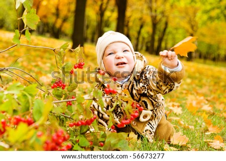 Baby crawling over autumnal yellow leaves carpet