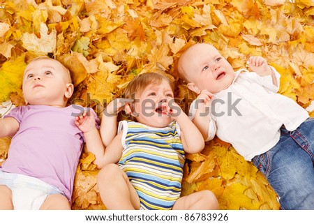 Three cute babies lie on yellow leaves