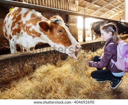 Kid at a milk farm feeding cow