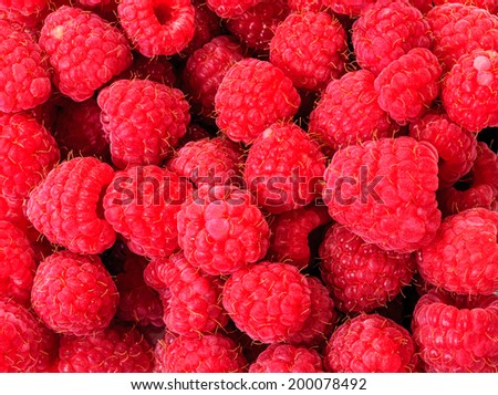 Raspberry fruit on white background
