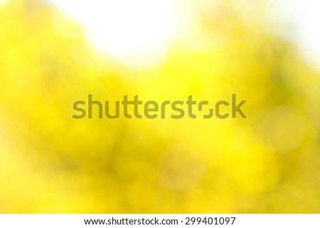 Abstract blurred yellow background texture, foliage in fall, autumn, copy space