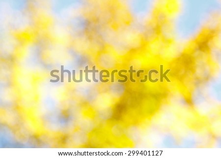 Blurry yellow blue background texture, out of focus tree in autumn, fall