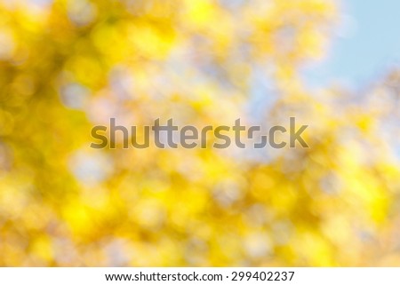 Blurry yellow blue brown background, tree on a sunny day in fall