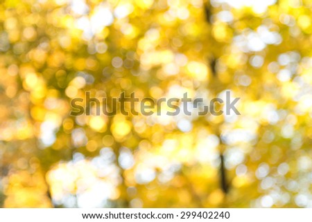 Abstract blurred yellow and brown background texture, foliage in fall on a sunny day, copy space