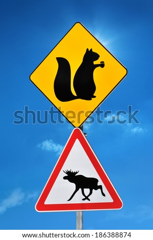 Road sign warning about the animals on the road on blue sky background.