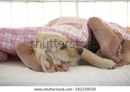 couple and dog on bed at morning
