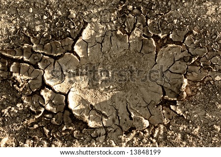 Cracked mud texture