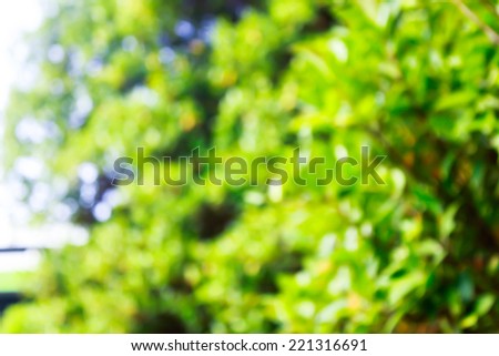 Bright colorful abstract background from plants, not in focus