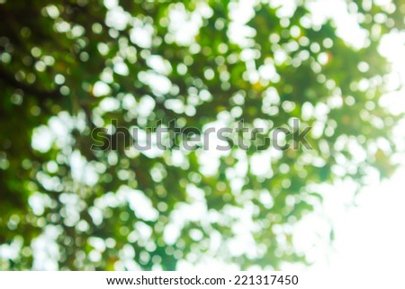 Bright colorful abstract background from plants, not in focus
