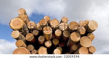 Log Pile Against Cloudy Blue Sky
