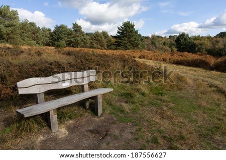 ASHDOWN FOREST, SUSSEX/UK - OCTOBER 17 : Bench in Ashdown Forest Sussex on October 17, 2008