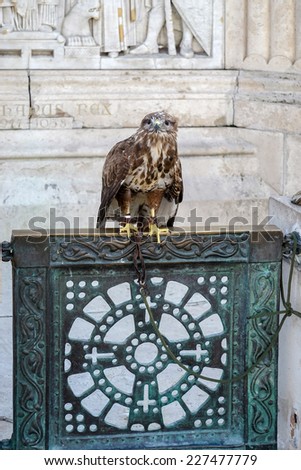 BUDAPEST, HUNGARY/EUROPE - SEPTEMBER 21 : Hawk on gate at base St Stephens statue at Fishermans Bastion in Budapest Hungary on September 21, 2014