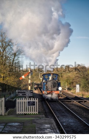 SHEFFIELD PARK, EAST SUSSEX/UK - NOVEMBER 22 : Bluebell Steam Train at Sheffield Park Station East Sussex on November 22, 2015