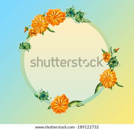 Circle frame. Calendula background, watercolor composition. Flower backdrop Decoration with blooming calendula, hand-drawing. Bouquet of  flowers. Place for your text. Decorative frame for celebration