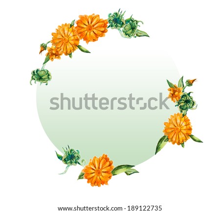 Circle frame. Calendula background, watercolor composition. Flower backdrop Decoration with blooming calendula, hand-drawing. Bouquet of  flowers. Place for your text. Decorative frame for celebration