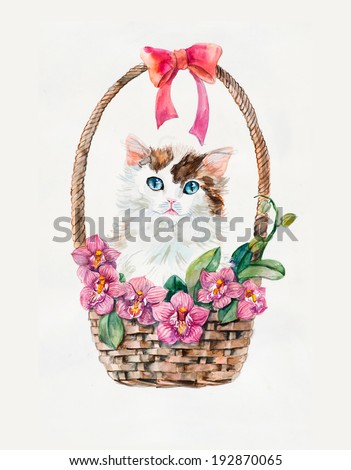 Kitten on the basket with flowers. Orchids inside basket. Cat background, watercolor composition. Flower backdrop. Decoration with kitten & flowers, hand-drawing. Bouquet of  orchids. Illustration.