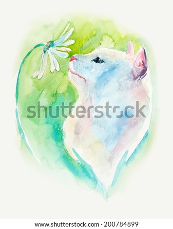 White cat with chamomile. Hand-drawing water color. Illustration.  Cat background, watercolor composition. Decoration with kitten & flower.