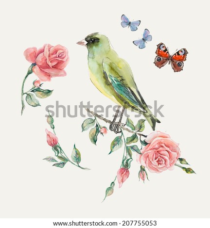 Greenfinch. Pattern from roses. Water color painting. Roses background, watercolor composition. Flower backdrop.