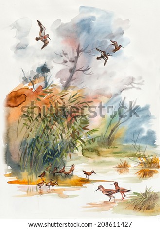 Autumn landscape. Sandpipers go on water. Migratory birds get ready for a trip. Pattern from forest inhabitants. Water color painting. Birds background, watercolor composition. Illustration