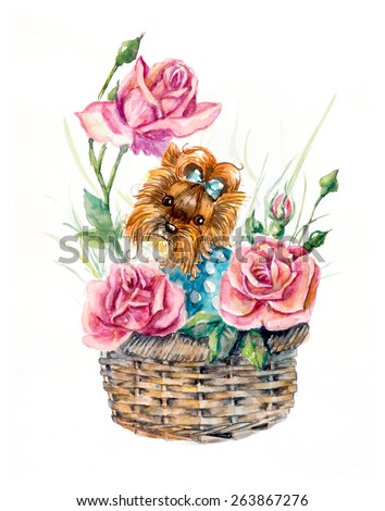 Yorkshire terrier on the basket with flowers. Roses inside basket. Flower backdrop. Decoration with puppy & flowers. Watercolor hand drawn illustration.