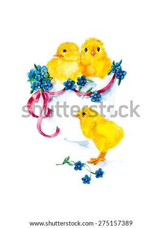 Happy Easter Design. New born, three yellow chickens with little blue flowers. Watercolor hand drawn illustration
