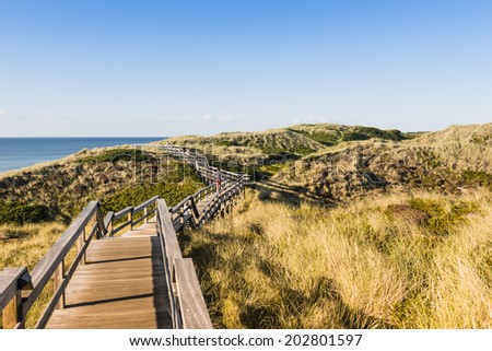 People on wooden footpath through dunes at the North sea beach in Germany.