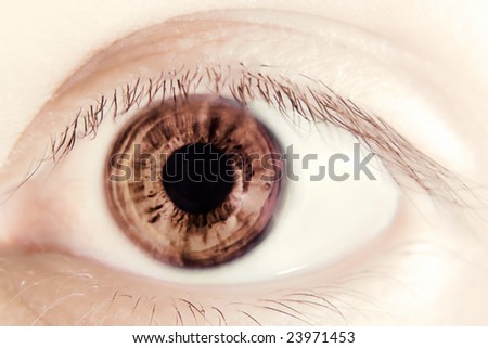 abstract eye macro