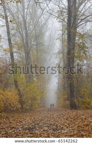people walking in the forest with fog