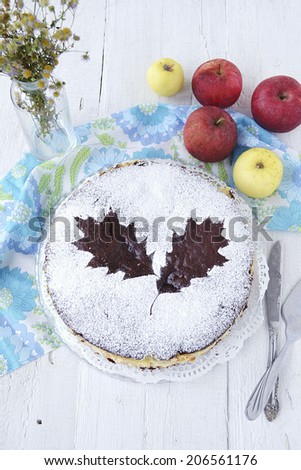 Chocolate cake with pudding, apple and pumpkin
