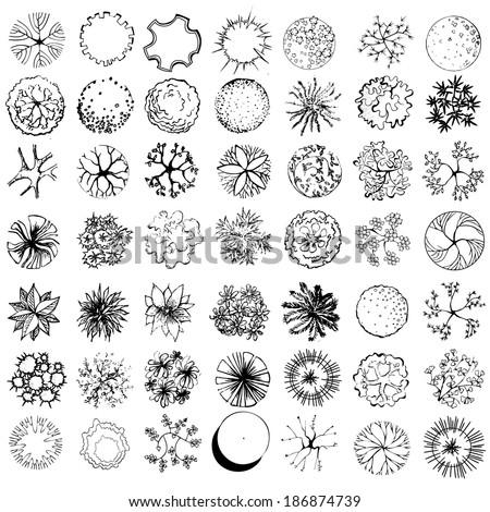 A set of treetop symbols for architectural or landscape design black and white A set of treetop symbols for architectural or landscape design black and white