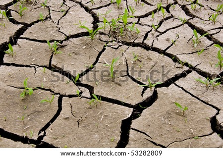 cracked earth - concept image of global warming