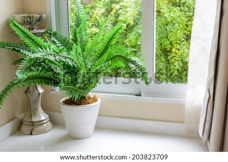 Plant and candlestick with rain falling outside