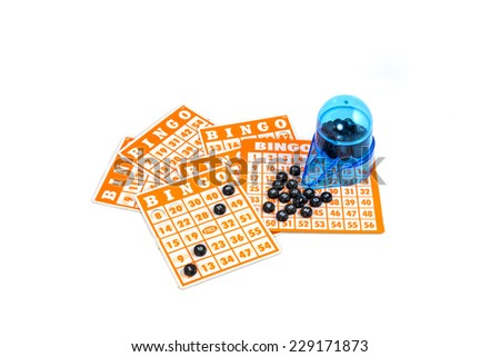 Bingo card game isolated