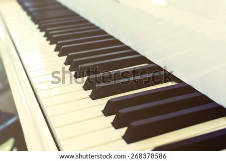 Close up of piano key on white piano with soft light