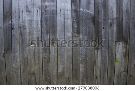 Wooden Palisade background. Close up of grey and green wooden fence panels. Old wooden fence. wood texture background. wood fence background