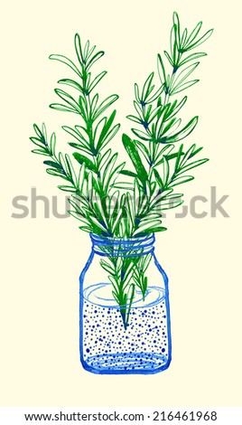 Sprig of rosemary bottle with water. Hand drawn illustration on a white background