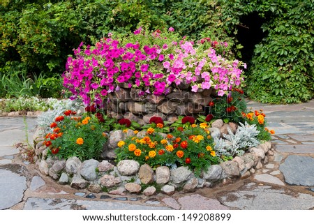 flower bed with petunia and marigold. Landscape design