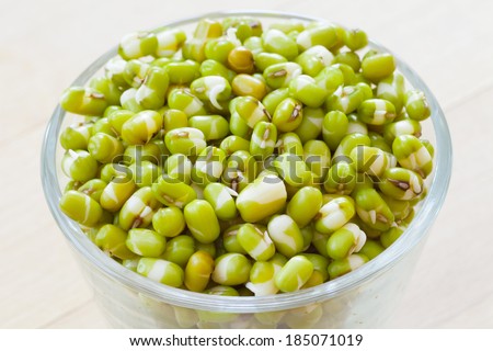 green mung bean sprouts in bowl