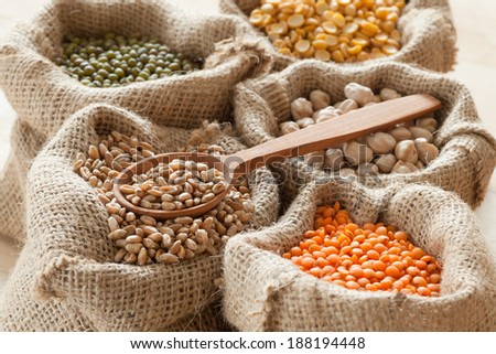 hessian bags with peas, chick peas, red lentils, wheat and green mung close up on table