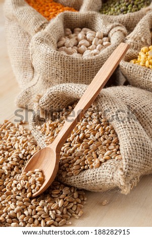 hessian bag with wheat and wooden spoon closeup; peas, chick peas, red lentils and green mung on background