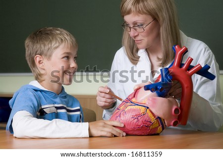 Young teacher and schoolboy studies heart