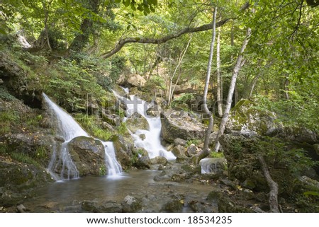 River in forest, running water