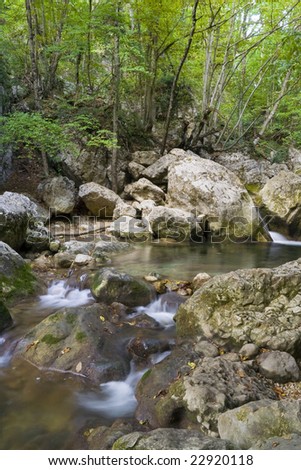 River in forest,  running water