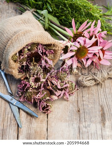 bunch of healing coneflowers, sack with dried echinacea flowers and estragon on wooden plank, herbal medicine