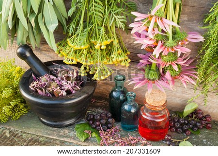 bunches of healing herbs, mortar with dried plants and bottles, herbal medicine