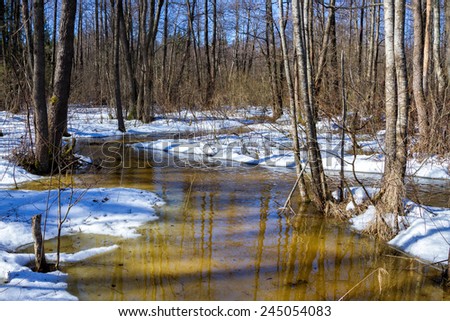 Early spring: river stream in forest. March belorussian landscape
